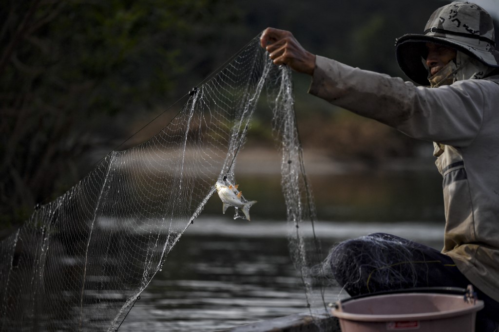 A Thai fisherman checks his net along the Mekong River