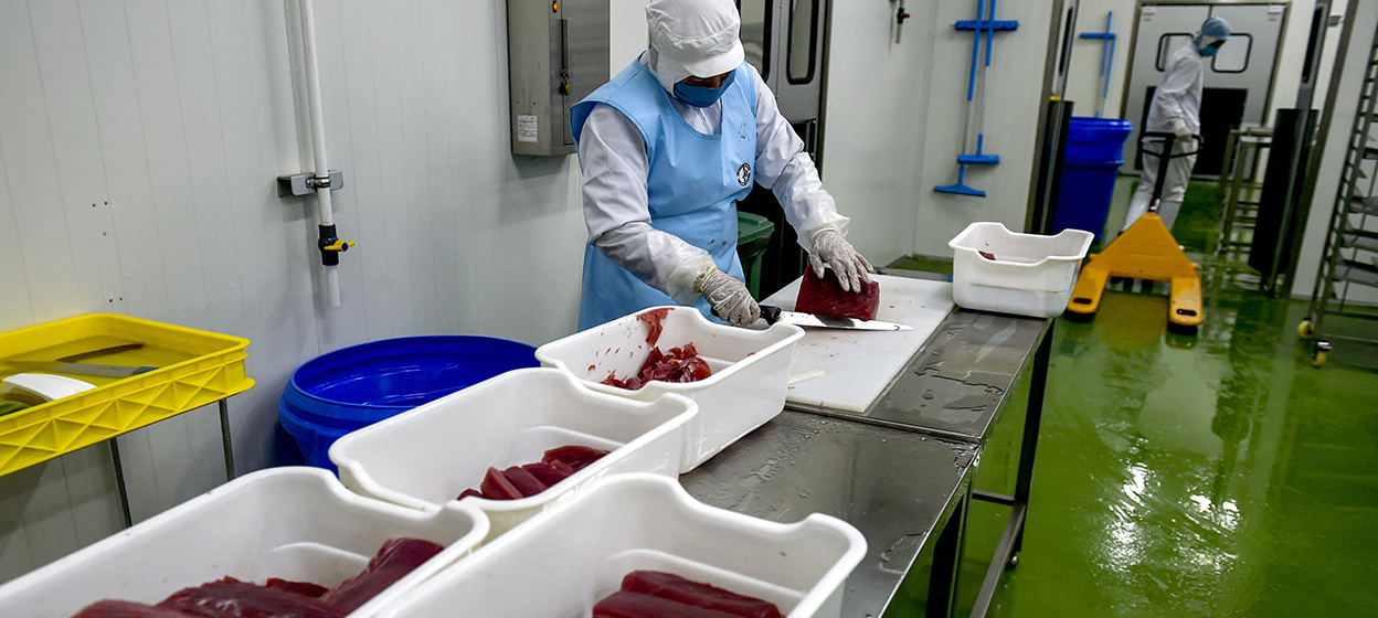 A worker prepares fish for export at a facility in Banda Aceh.